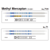 Ống phát hiện nhanh khí độc Methyl mercaptan